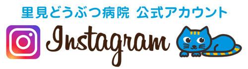 インスタアイコン