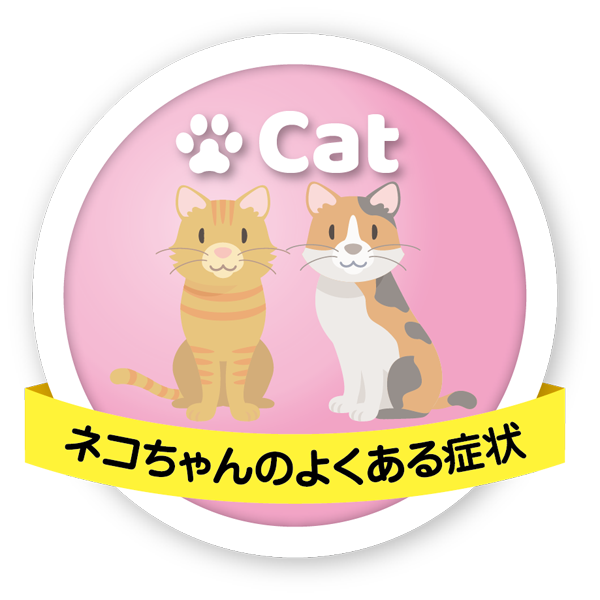 ネコちゃんのよくある症状