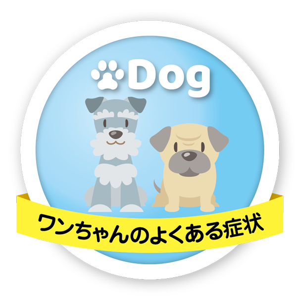ワンちゃんのよくある症状