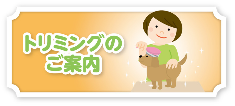 トリミングのご案内